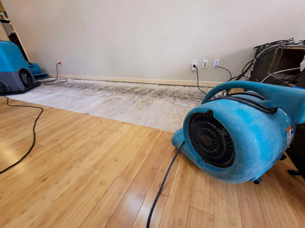 Professional Sewage Cleanup technician working in Itasca, TX